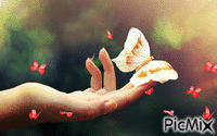 Butterfly Hand - Gratis animeret GIF