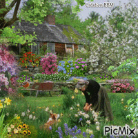 Mamie au jardin par BBM 动画 GIF
