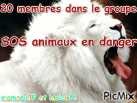 pour dogzer - Darmowy animowany GIF