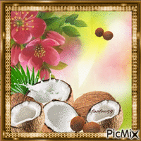 Les noix de coco GIF animé