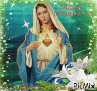 Maria17 Animated GIF