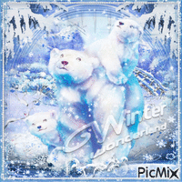 Polar bear winter