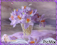 bouquet mauve animovaný GIF