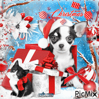 Chien et chat 🎅🎅 Animated GIF