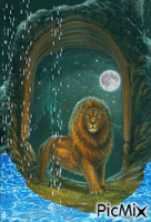 Aslan revient dans Narnia... - GIF animate gratis