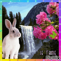 PicMix geanimeerde GIF