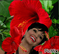 красный цветок animasyonlu GIF