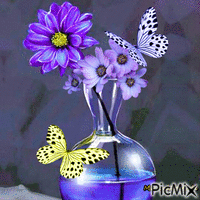 Jaune & violet - GIF animé gratuit