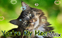You're My Heart - Free animated GIF