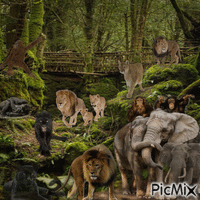 Jungle animasyonlu GIF