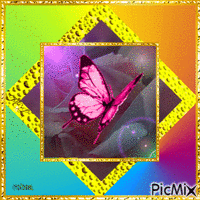 Papillon - GIF เคลื่อนไหวฟรี