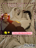 Fezz's Cat 动画 GIF
