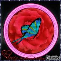 joli papillon multicolor GIF animata