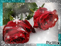 розы на снегу - Бесплатни анимирани ГИФ