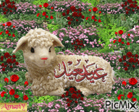 عيد سعيد - Darmowy animowany GIF