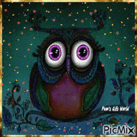 Wide Eyed Owl - GIF animado gratis