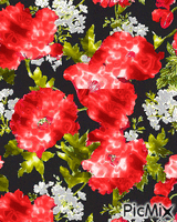 kvety 动画 GIF