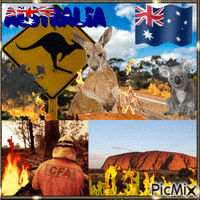 Incendi disastrosi in Australia