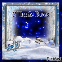 2 Turtle Doves - GIF animé gratuit