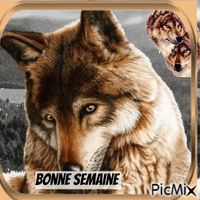 Les loups анимирани ГИФ