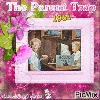The Parent Trap - 1961 动画 GIF