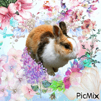 Watercolor rabbit contest GIF animata