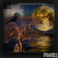 Moon Crow Gif Animado
