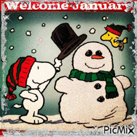 Welcome January! 🙂 Gif Animado