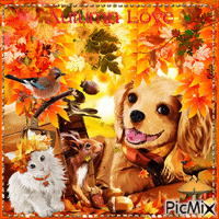 Autumn Love. Squirrel, dog, cat, birds GIF animé