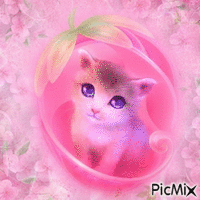 Pink kitty GIF animado