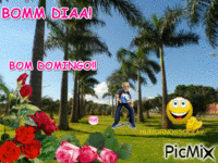 BOMM DIAA animovaný GIF