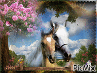 caballos - 無料のアニメーション GIF