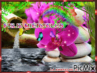 FELIZ MIERCOLES 1 - Darmowy animowany GIF