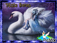 swan - 無料のアニメーション GIF