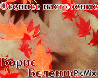 Борис Беленцов - Бесплатный анимированный гифка