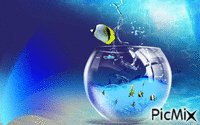 acuario - Zdarma animovaný GIF