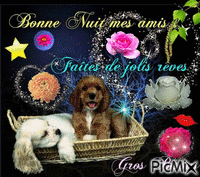 BONNE NUIT CHIENS Animated GIF