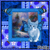 {Blue Winged Kitty}