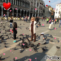 Piazza san Marco....... - GIF animado gratis