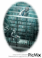 BIBLIOTHEQUE 动画 GIF