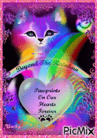 rainbowcat анимиран GIF