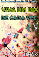 VIVA A VIDA - GIF animate gratis