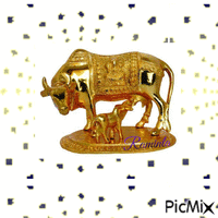 Auksinis  veršis - Bezmaksas animēts GIF