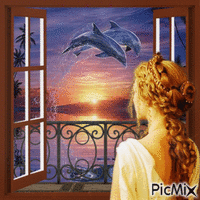Aus meinem Fenster sehe ich einen Delfin
