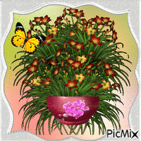 Flowers. animēts GIF