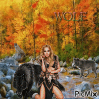 Wolf! - GIF animé gratuit