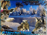 le coin des animaux Animated GIF