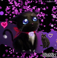 chaton triste - GIF animate gratis