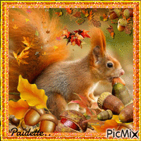 écureuil en automne