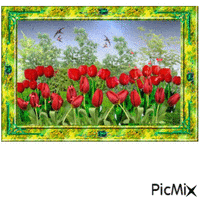 jardin de tulipes rouges - Gratis animerad GIF